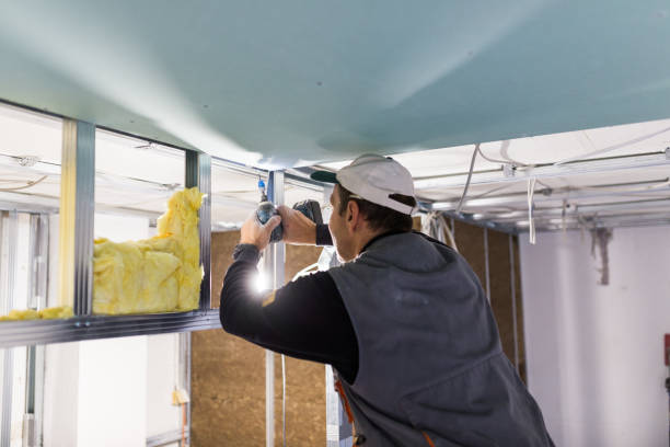 Best Geographic-Specific Insulation Services in Pleasant Hills, OH
