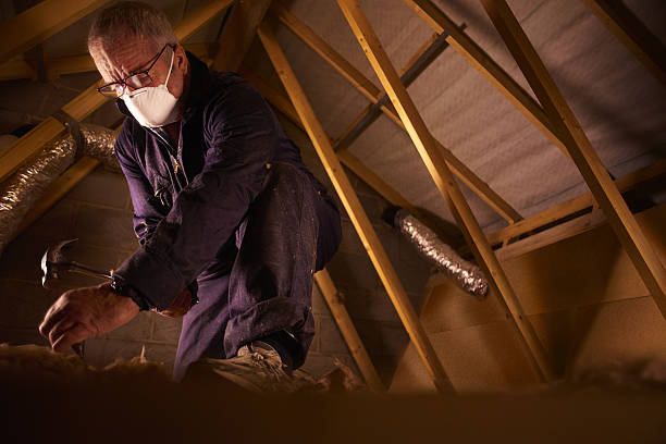 Best DIY Insulation Kits and Guidance in Pleasant Hills, OH